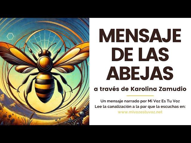 UN MENSAJE DE LAS ABEJAS canalizado por Karolina Zamudio