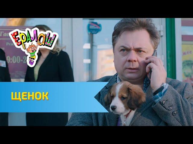 Ералаш Щенок (Выпуск №334)