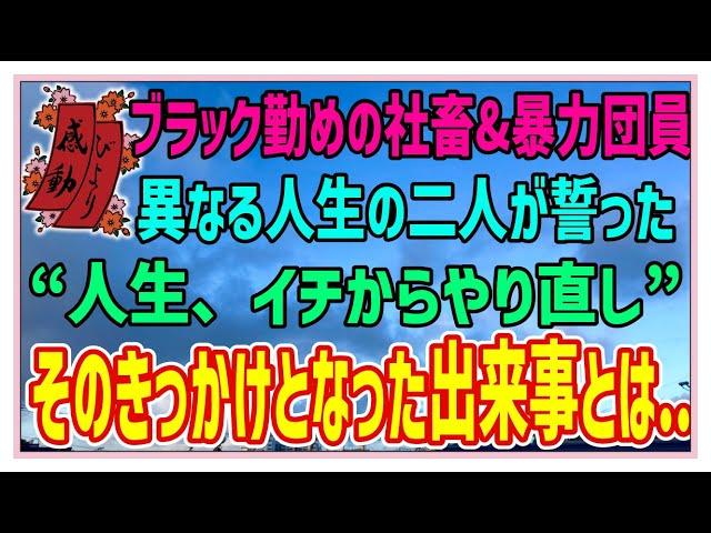 【感動する話】それぞれの再出発【泣ける話】ブラック勤めの社畜&暴力団員異なる人生の二人が誓った“人生、イチからやり直し”そのきっかけとなった出来事とは.. #感動物語   #ラジオドラマ#朗読