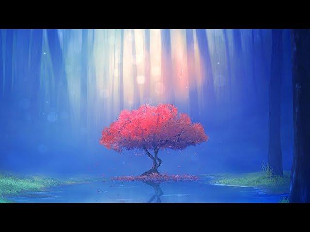 Secret Rainforest  417Hz  WIPE OUT ALL THE NEGATIVE ENERGY frm HOME & WITHIN  Nature Sounds Music