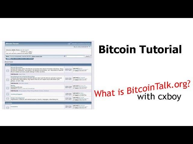 Introduction to BitcoinTalk.org | Bitcoin Weekly Show