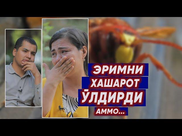 ҚОТИЛ ХАШАРОТ. АЁЛ АЧЧИҚ ҚИСМАТИ ВА ИРОДАСИ