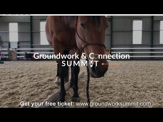 Groundwork and Connection Summit trailer by Elaine Heney and Listening to the Horse