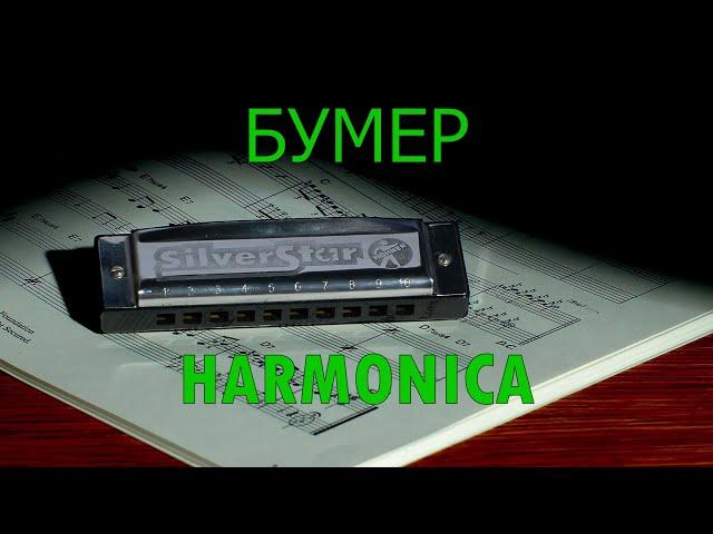 Бумер на Губной гармошке   Табы    Boomer    Harmonic    Tabs.