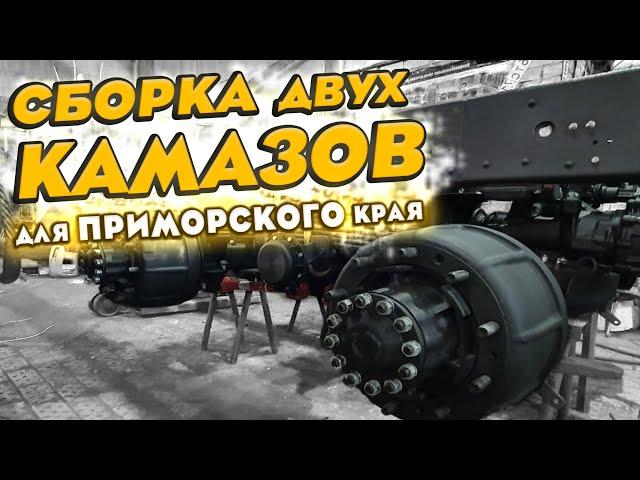 Сборка с рамы двух КамАЗов для Приморского края. Самосвалы 65115 и 65111