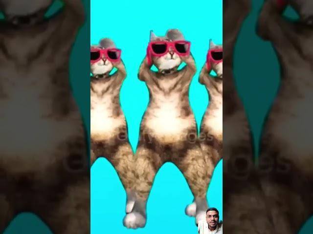 Dagi dance #dog #mojmasti #funny#comedy #short#video