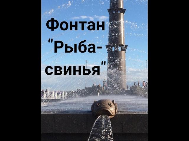 Рыба-свинья. Санкт-петербург.