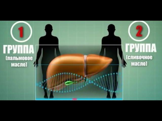 "По плодам их...". Фильм Аркадия Мамонтова