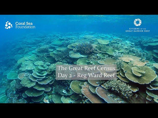 Great Reef Census - Day 2 - Reg Ward Reef