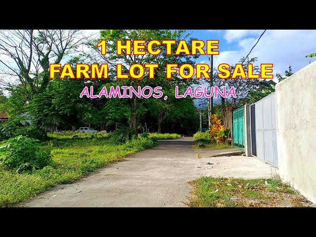 1 HECTARE FARM LOT FOR SALE (PROP# 164) ALAMINOS, LAGUNA