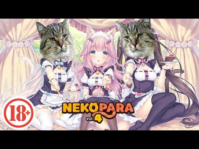  Nekopara 4 vol4 18+ patch без цензуры