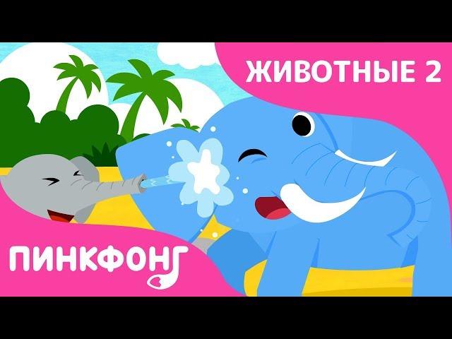 Слон — Настоящий Слон | Песни про Животных | Пинкфонг Песни для Детей