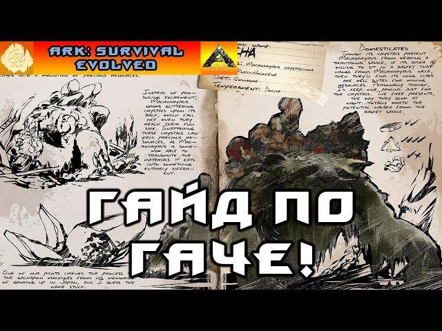 Гайд по Гаче! Приручение, кормление, производство! ARK EXTINCTION!