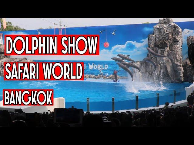 Dolphin Show | Bangkok Safari World