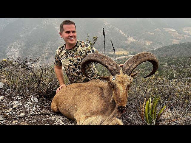 Hunting Deer & Sheep with a Straight-Pull Rifle (8 kill shots on video!)