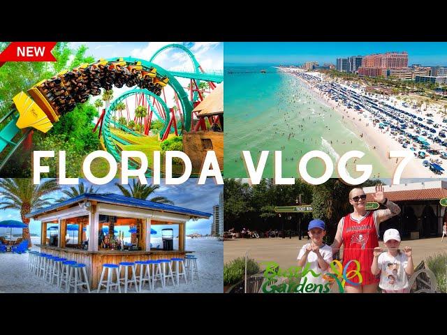 Florida vlog | Busch Gardens | Hilton Clearwater Beach- vlog 7 road trip