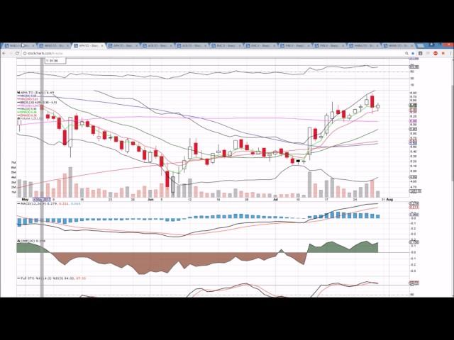Canadian MJ Technical Analysis Chart 7/28/2017 by ChartGuys.com