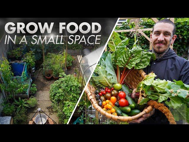 10 tips to grow your own food in a small space