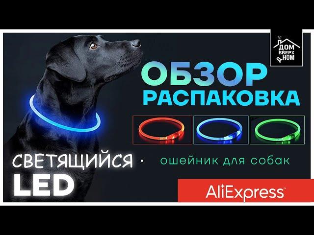 Обзор Распаковка Светящийся Led ошейник для собак с AliExpress