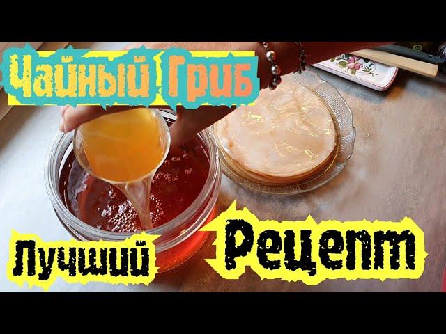 Чайный Гриб ЭТО ПОЛЕЗНО/Экспресс  Метод Чайной Заварки для Kombucha/ Madame Француженка