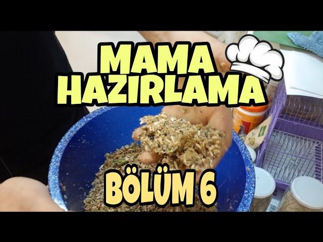 MUHABBET KUŞU MAMA HAZIRLAMA - DETAYLAR - ( BÖLÜM 6 )