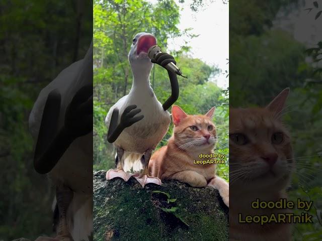  STEP ASIDE  #leopartnik