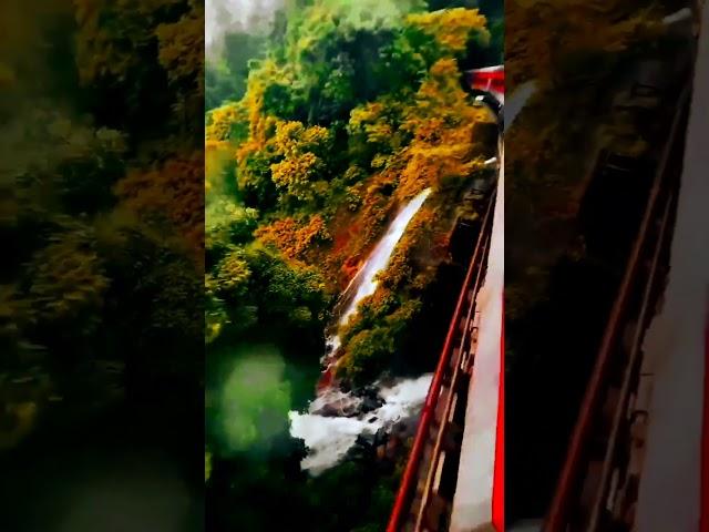 Train travel vibe #shorts #short #trending #viralvideo #viralshorts  @A-Z-Manish