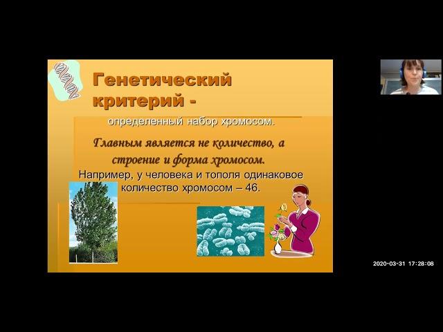 Повторяем "Критерии вида" (Баштанник Н.Е.)