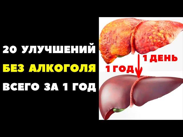  БРОСИЛ ПИТЬ - что изменилось? 20 УЛУЧШЕНИЙ за 1 ГОД БЕЗ АЛКОГОЛЯ!