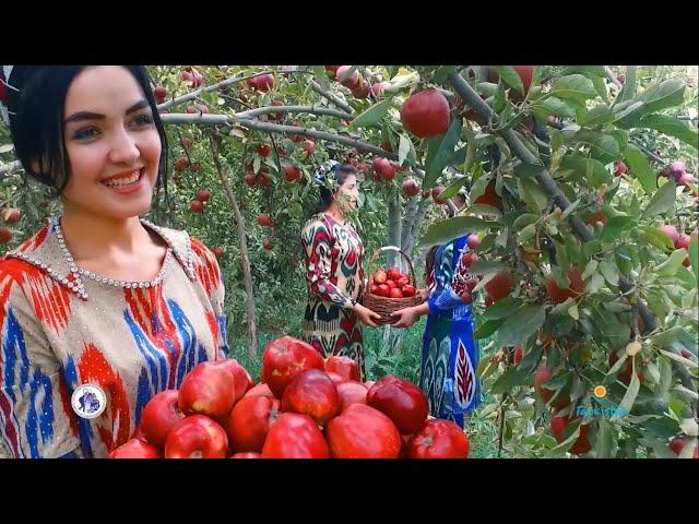 TAJIKISTAN IS A PARADISE OF THE SWEETEST FRUITS EVER IN THE WORLD/YOU GOT TO SEE THIS