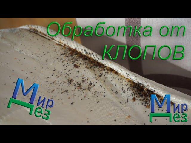 МирДез, обработка от клопов (2020г) 12