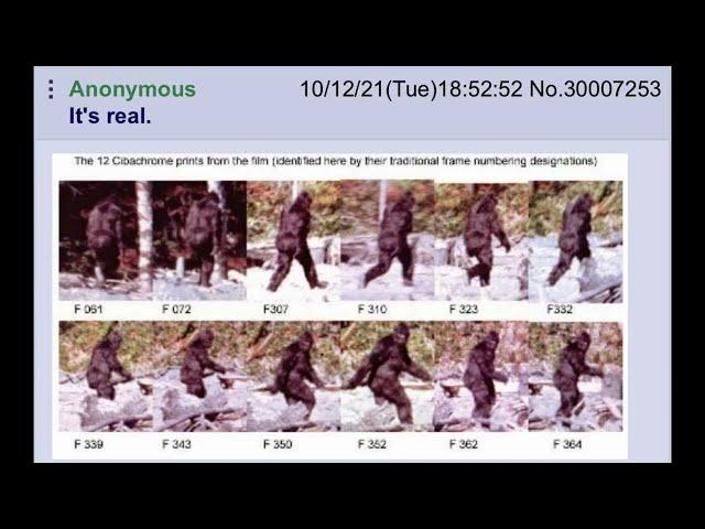 anon realizes bigfoot is real