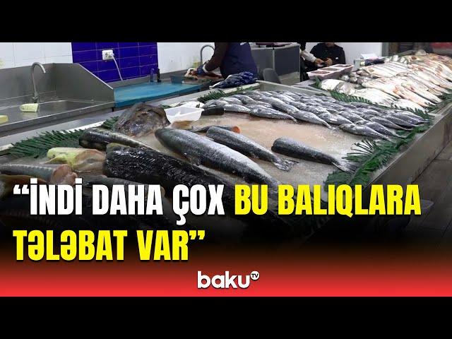 Yerli balıqlar ucuzlaşdı, amma... | Bazarda alıcılar və satıcılarla reportaj