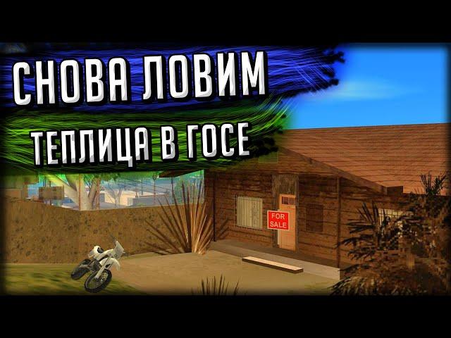 ЛОВЛЯ ДОМОВ ВЕРНУЛАСЬ? ТЕПЛИЦА В ГОССЕ! ПЕРЕПРОДАЖА В GTA SAMP + ЭМОЦИИ