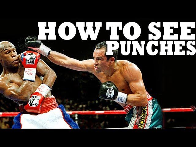 How to See a Punch Coming in Boxing, MMA, or Street Fight