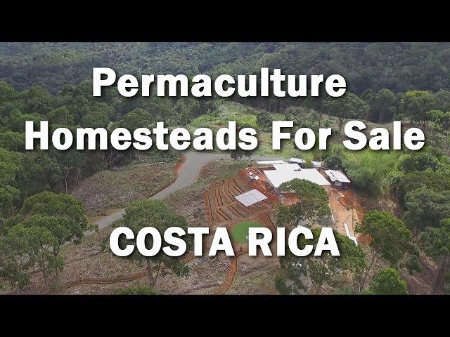 Permaculture Homesteads for sale in Regenerative Neighborhood~ COSTA RICA