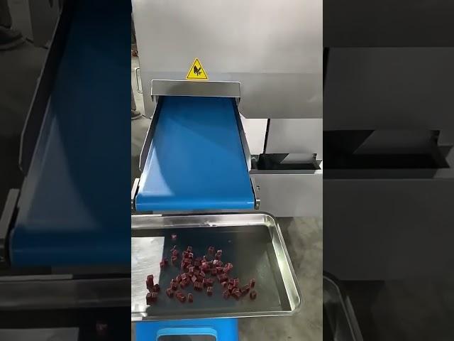 2D Frozen Meat Dicer #machine #foodmachine #food #machinefactory #factory #meatprocessingmachine