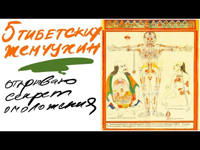 Секреты комплекса 5 тибетских жемчужин (око возрождения)