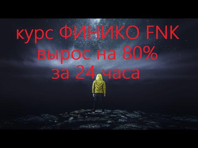 Монета Финико FNK выросла на 80% за последние 24 часа.