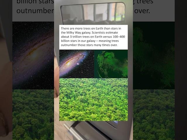 There are More Trees on Earth Than Stars in the Milky Way Galaxy