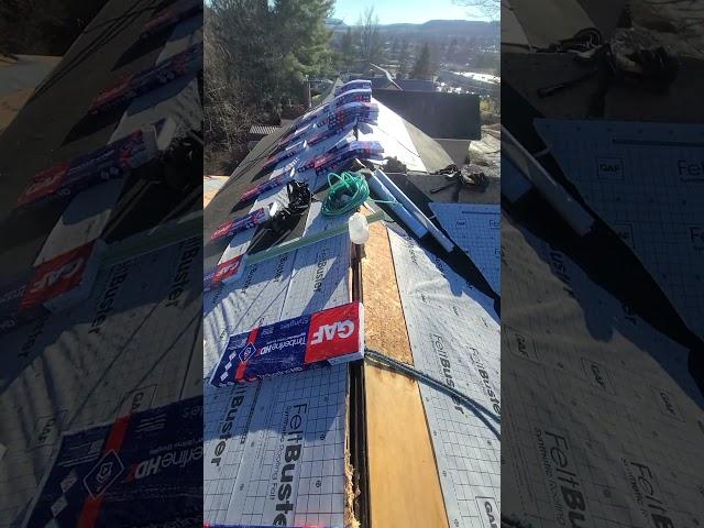 HOUSE # 169 | Roof