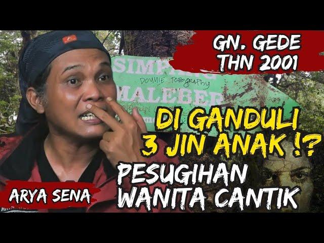 MAMPIR KE ISTANA JIN GUNUNG GEDE | PENDAKIAN GUNUNG GEDE 2001| ARYA SENA #aryasena #gununggede