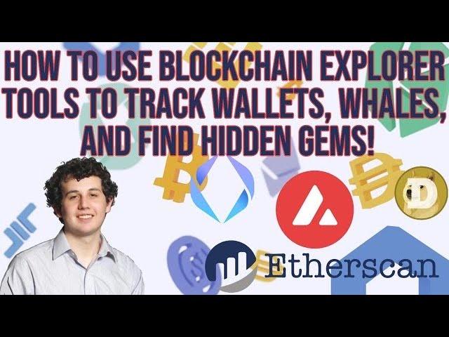 How To use Blockchain Explorer Tools to Track Wallets, Whales, and Find Hidden Gems!!!!!