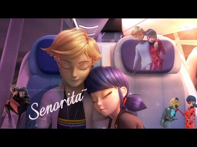 Senoritã️ | Adrienette | Ladynoir ️| Marichat | Song | MIRACULOUS AMV