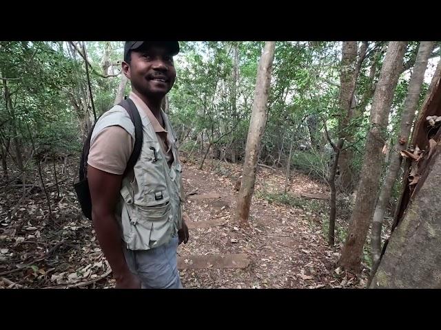 Ankarana National Park Suspension bridge