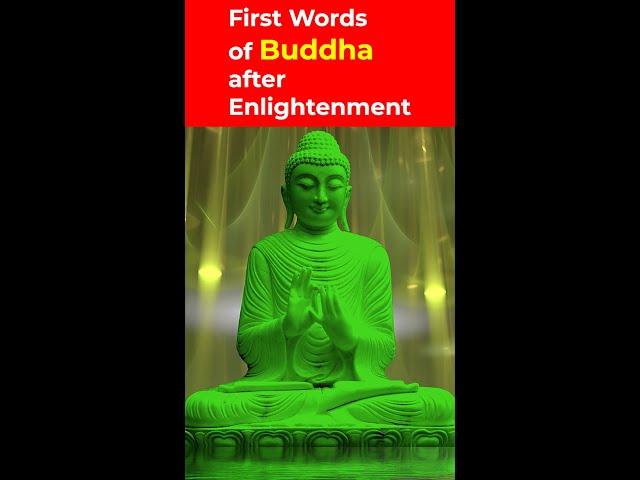 First Words of Buddha after Enlightenment #Shorts