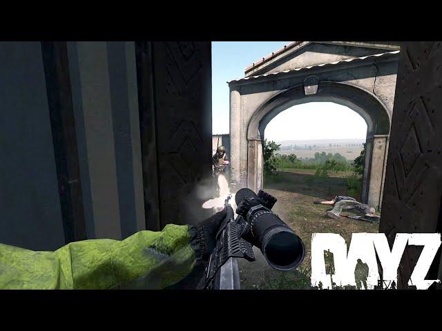 Unique Moments #5 - DayZ