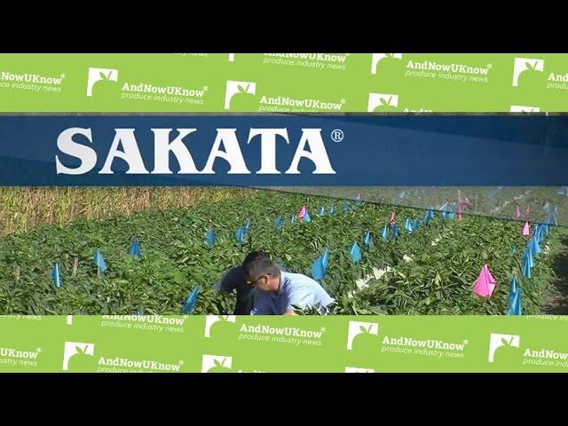 AndNowUKnow - Sakata Peppers - Behind the Greens