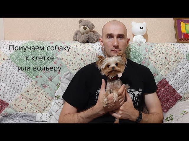 Как приучить собаку к клетке? Как приучить собаку к вольеру?