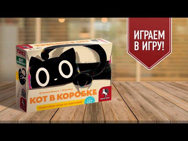 КОТ В КОРОБКЕ | играем в настольную игру